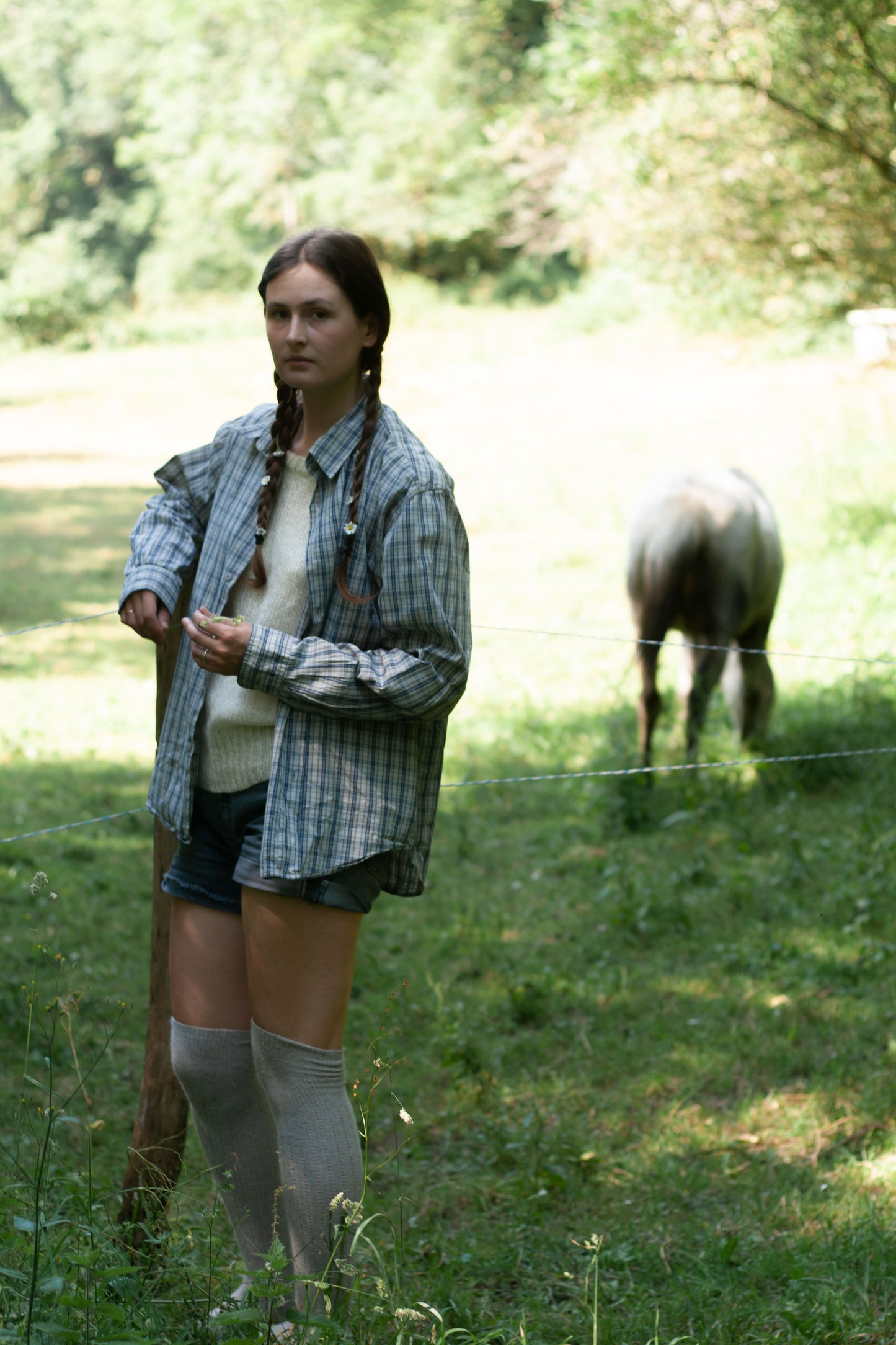 CHEMISE HOMME DICKIES XL